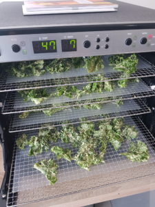 chips de chou kale