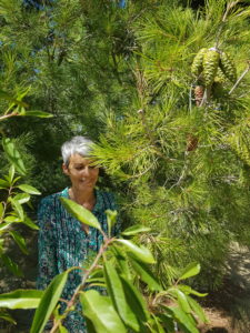 evy poulard naturopathe aix en provence