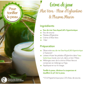 diy creme de jour plasma marin aloe vera
