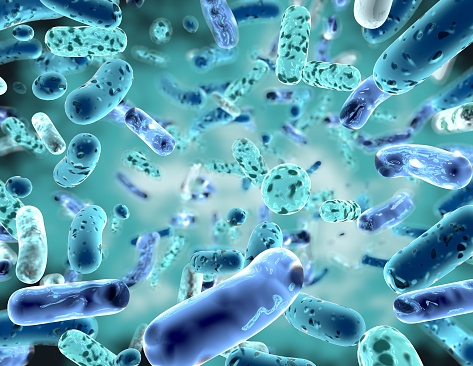 probiotique