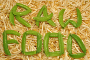 recette cuisine crue rawfood