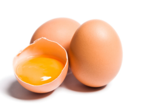 oeuf bio le choisir