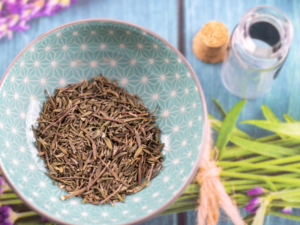 ARTICLE SUR LA NATUROPATHIE