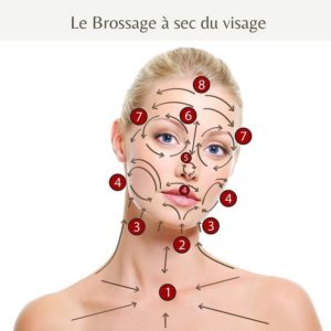 système lymphatique