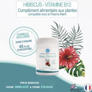 La Vitamine B12