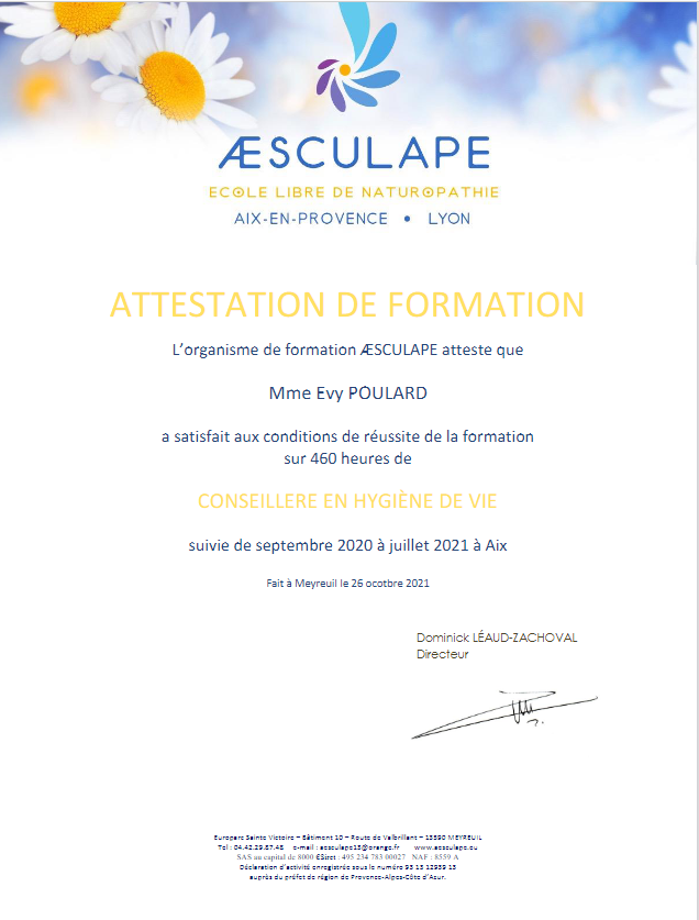 formation aesculape