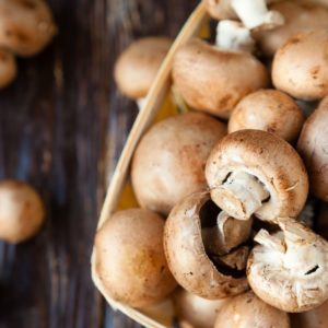 champignon de paris