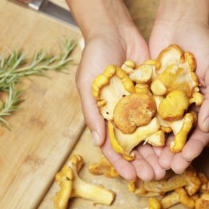 girolle