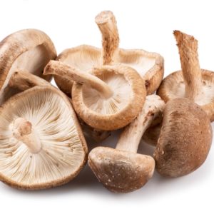 shiitake champignon
