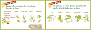 blé et gluten, zoom sur le gluten en naturopathie
