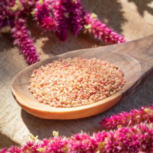evy poulard naturopathe aix en provence