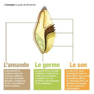 evy poulard naturopathe aix en provence