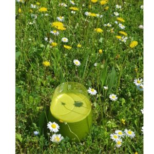 evy poulard naturopathe aix en provence
