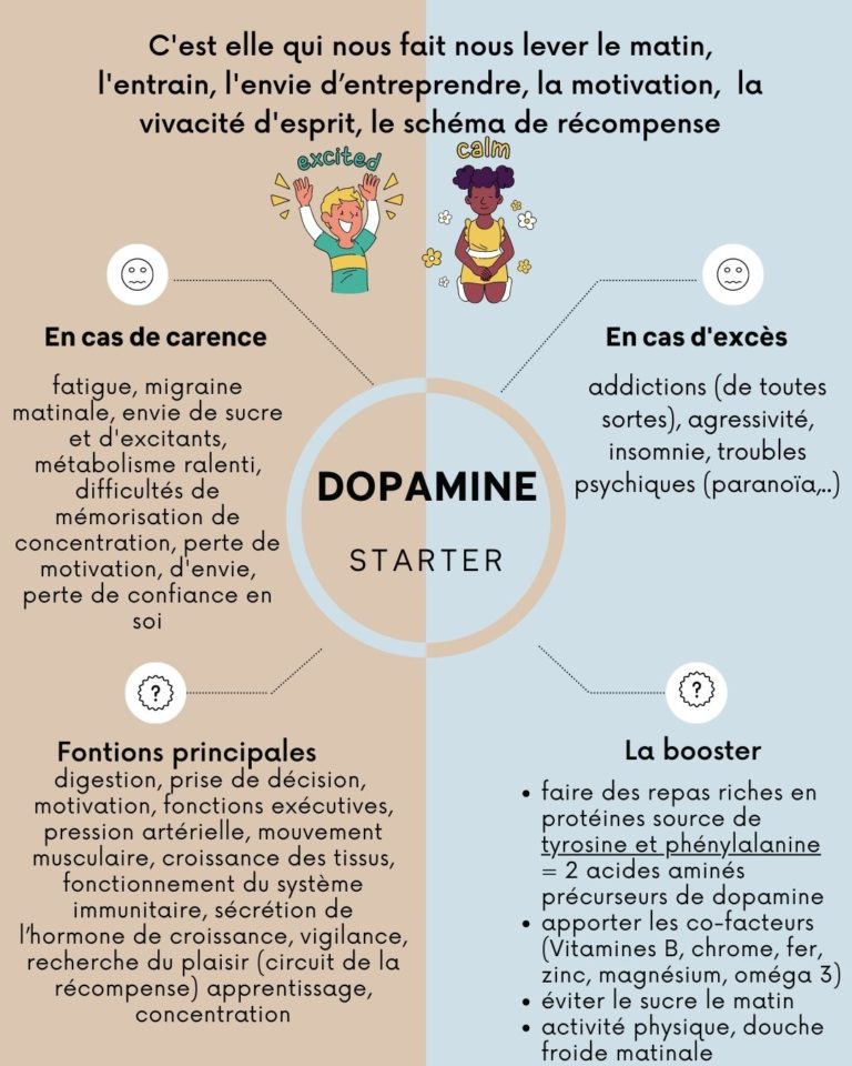 Les Neurotransmetteurs, Le Rôle De Ces Messagers | Evy Poulard ...