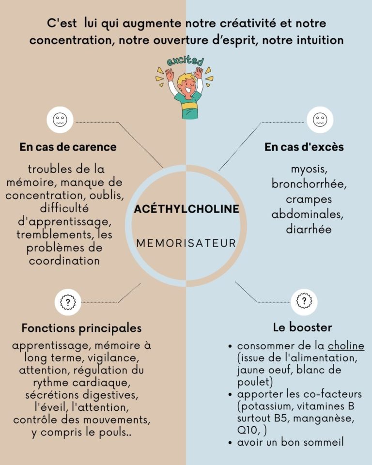 Les Neurotransmetteurs, Le Rôle De Ces Messagers | Evy Poulard ...