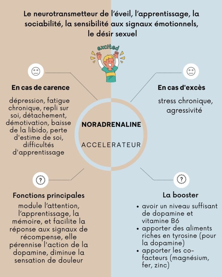 Les Neurotransmetteurs, Le Rôle De Ces Messagers | Evy Poulard ...