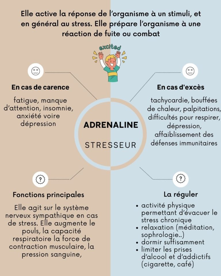 Les Neurotransmetteurs, Le Rôle De Ces Messagers | Evy Poulard ...