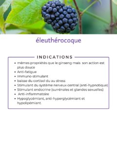 evy poulard naturopathe aix en provence
