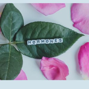 Les hormones, leur rôle dans la ménopause