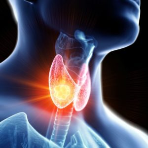 Pourquoi ta thyroïde fonctionne  au ralenti ?
